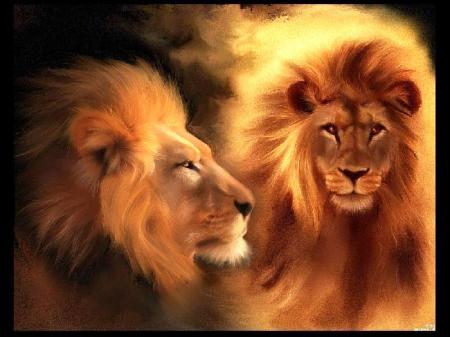 lion