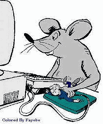 quel rat
